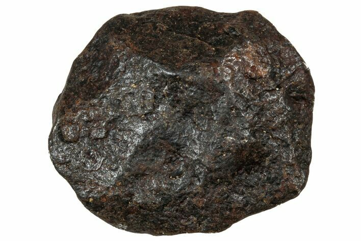 Canyon Diablo Iron Meteorite ( g) - Arizona #303550